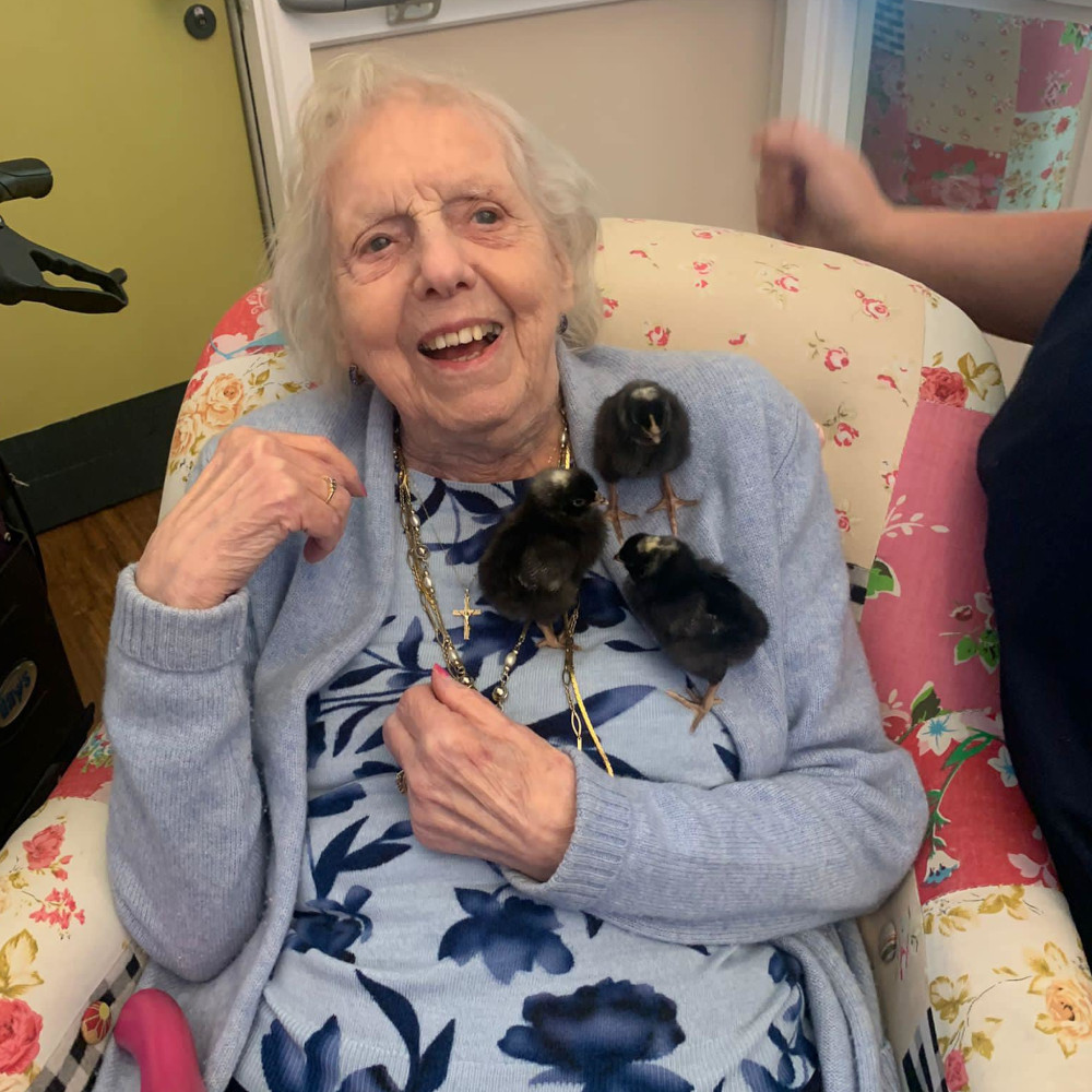 St Josephs - Animals 4